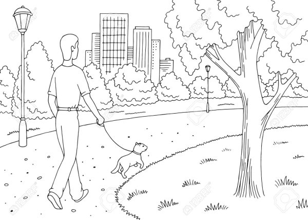 Летний сад Питер зарисовки