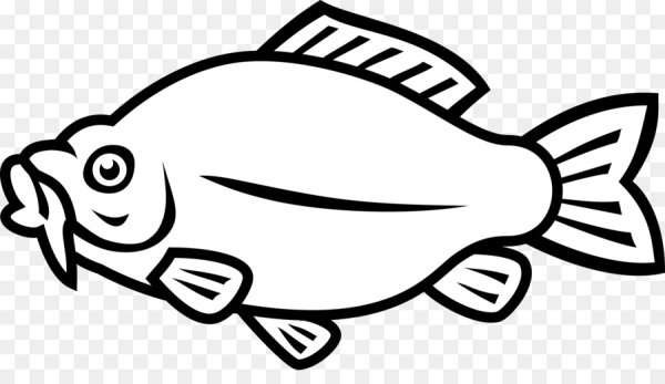 Рыба контур вектор