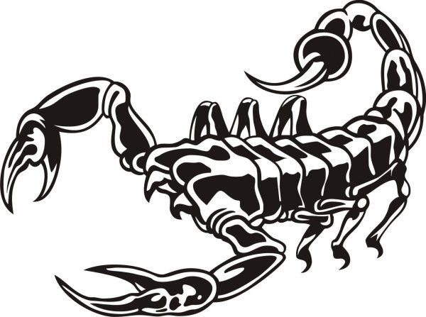 Наклейка Скорпион