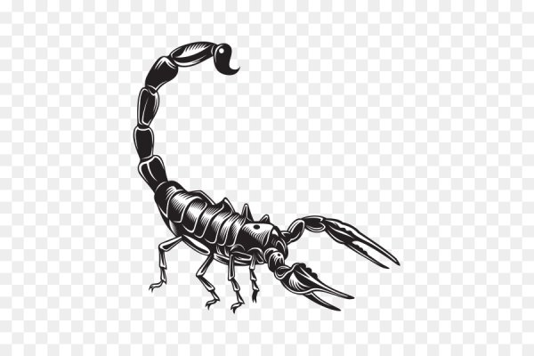 Скорпион печать