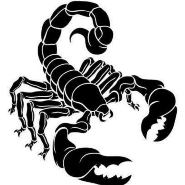 Скорпион Akrep 2020