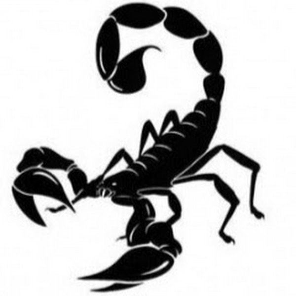 Скорпион печать