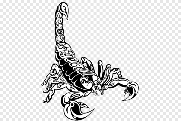 Тату Скорпион