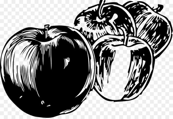 Яблоко вектор черно белый