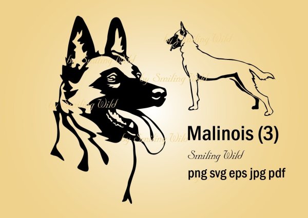 Бельгийская овчарка малинуа вектор