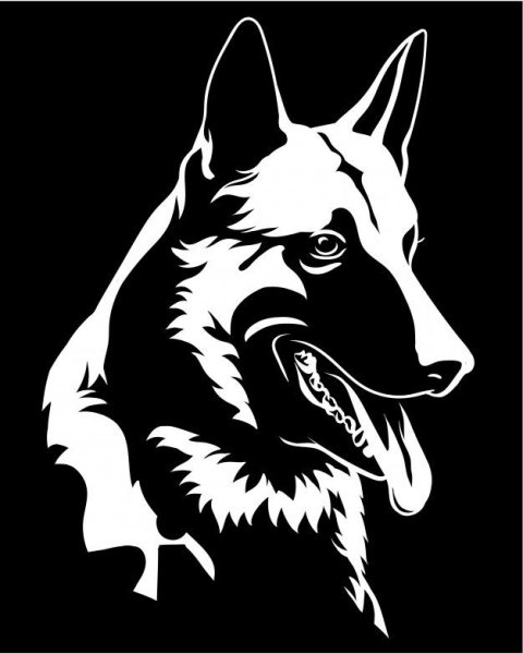 Малинуа векторный рисунок