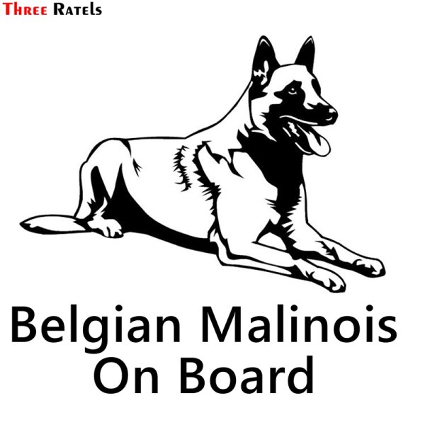 Малинуа Malinois
