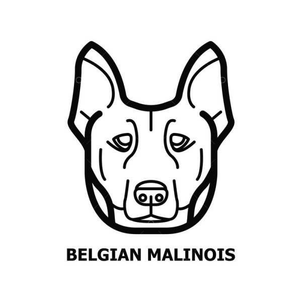 Раскраска малинуа