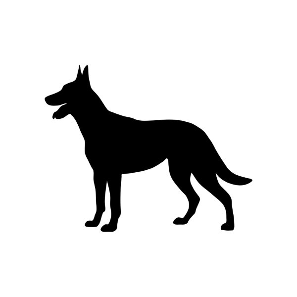 Малинуа фрисби