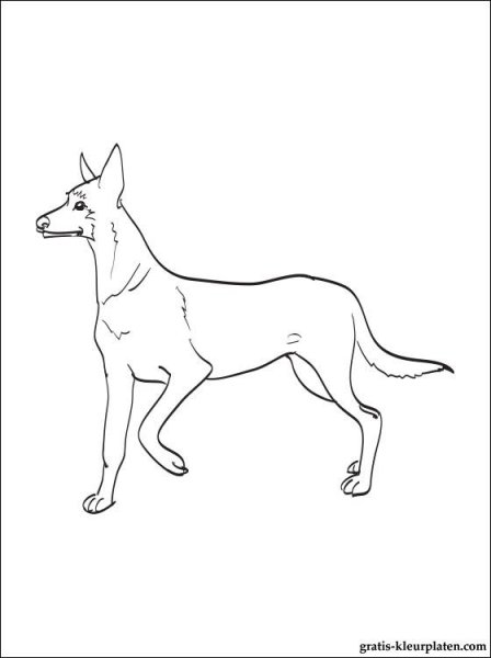 Тату немецкая овчарка эскиз