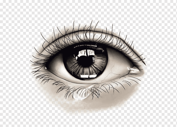 Глаз иллюстрация