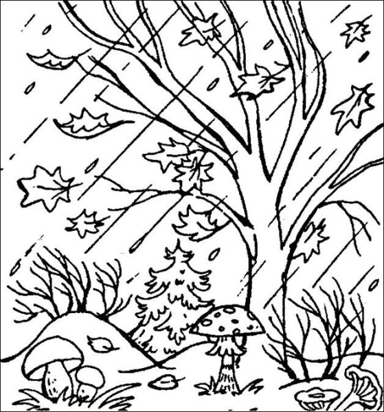 Раскраска осенний лес