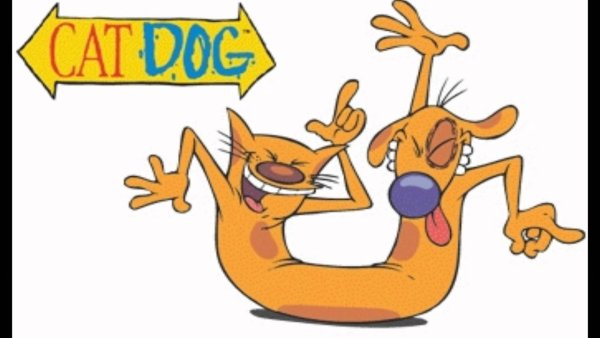 Котопес надпись