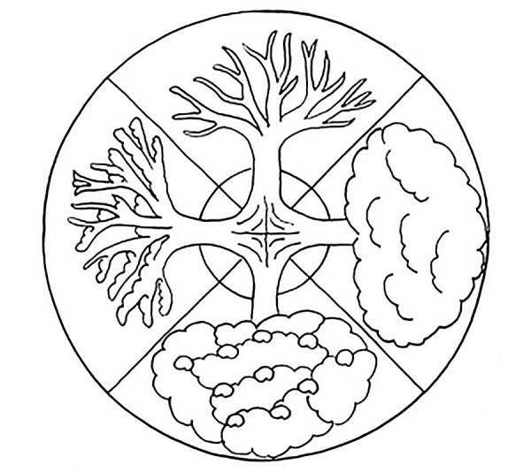 Времена года раскраска для детей