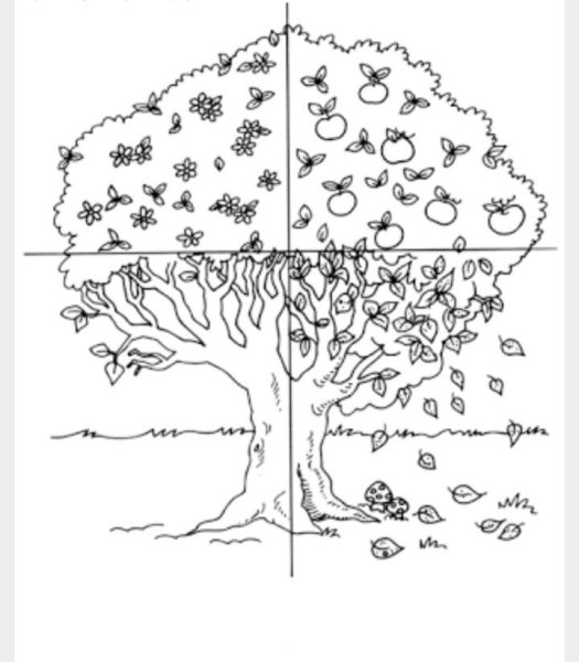 Дерево сезонов