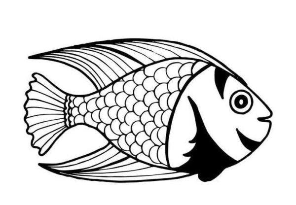 Рыба черно белая