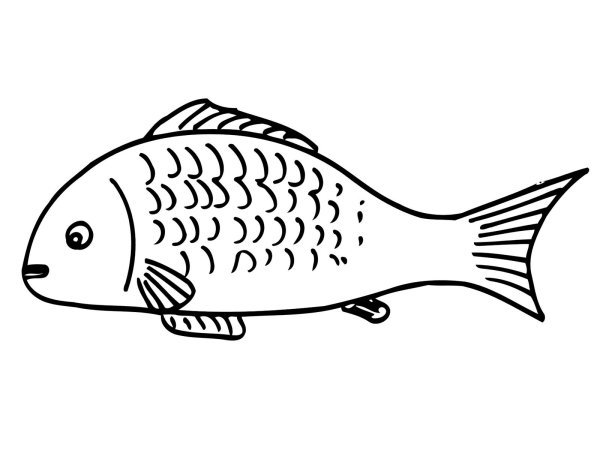 Рыба раскраска для детей