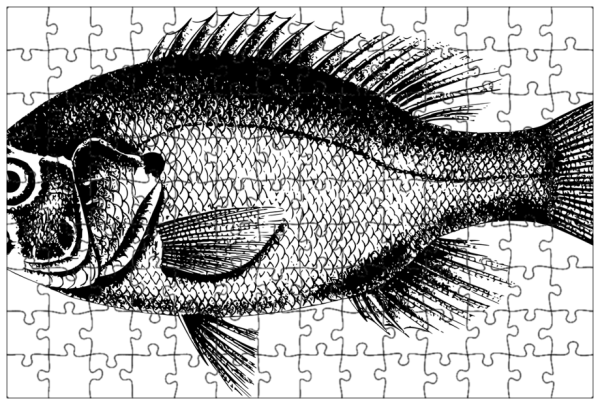 Окунь силуэт