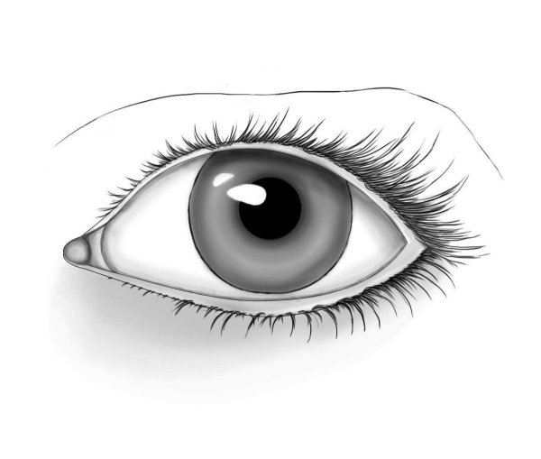 Глаза картинка для детей