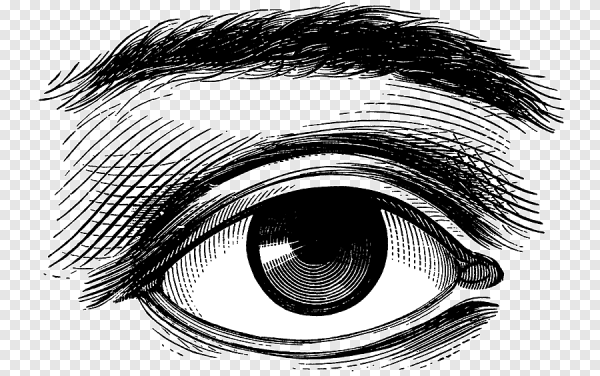 Глаза раскраска для детей