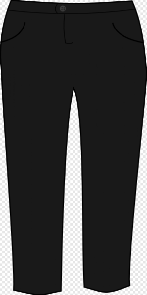 Брюки для презентации