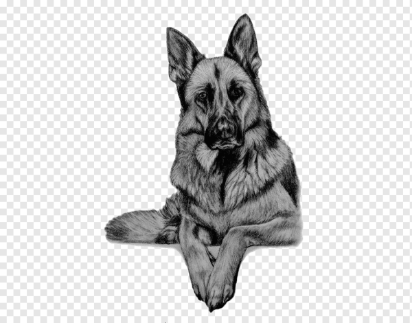 Тату Восточноевропейская овчарка