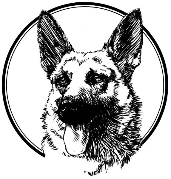 Восточно-европейская овчарка вектор