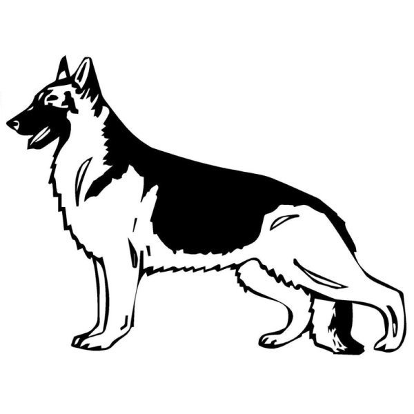 Овчарка рисунок