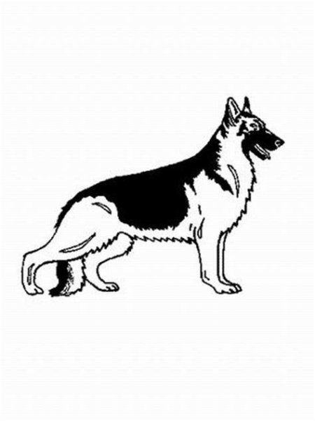Тату немецкая овчарка эскиз
