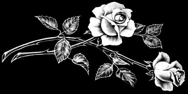 Розы для гравировки