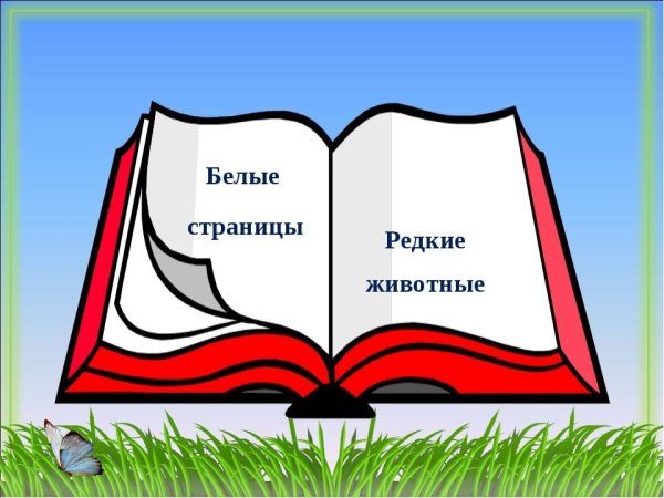 Красная книга рисунок