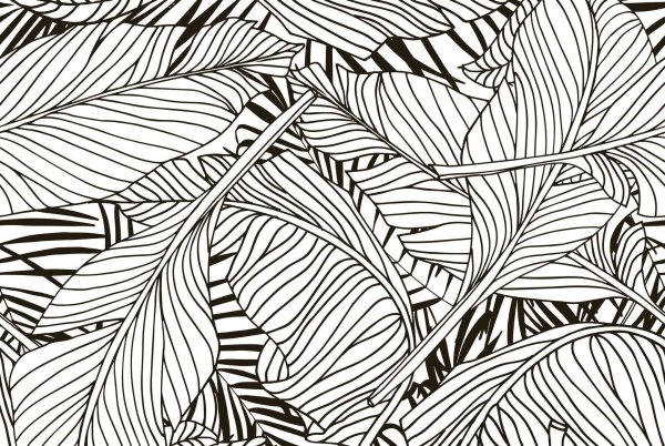 Паттерны листья