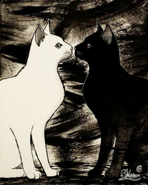 Черная и белая кошка арт