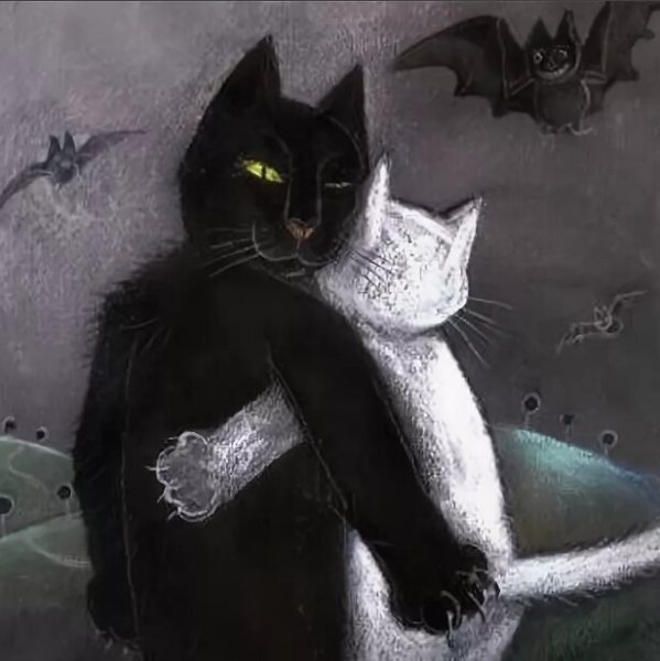 Белая кошечка и черный кот