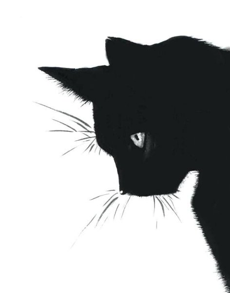 Кот черно-белые арты