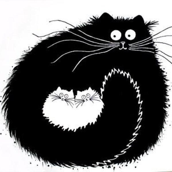 Кот Графика