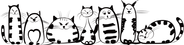 Котик вектор