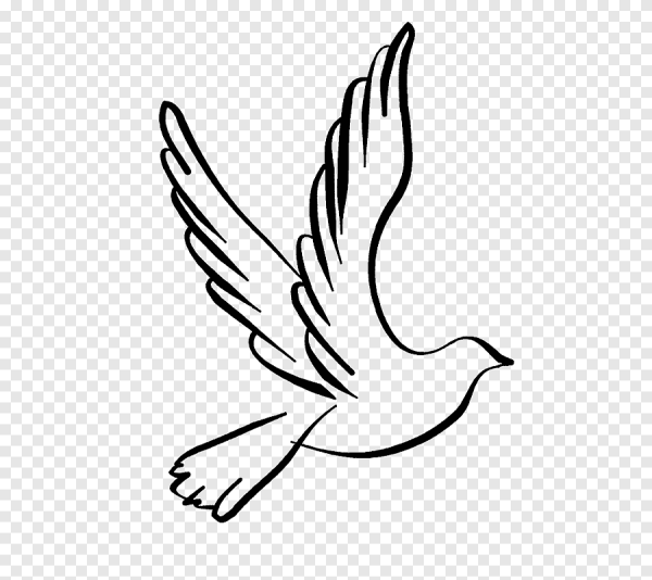 Голубь символ свободы