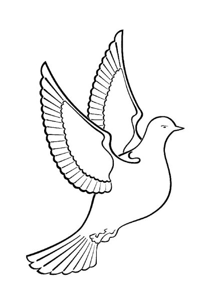 Голуби для распечатки