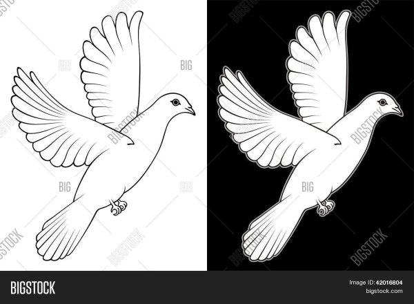 Голуби трафареты к 9 мая