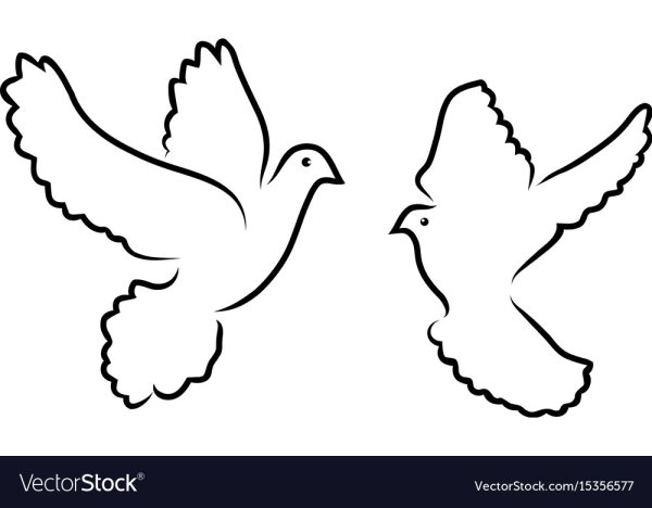 Голубь с веточкой трафарет