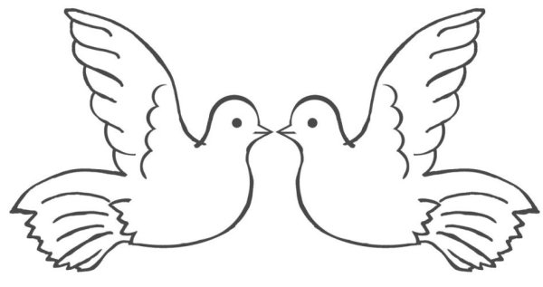 Голубь раскраска для детей