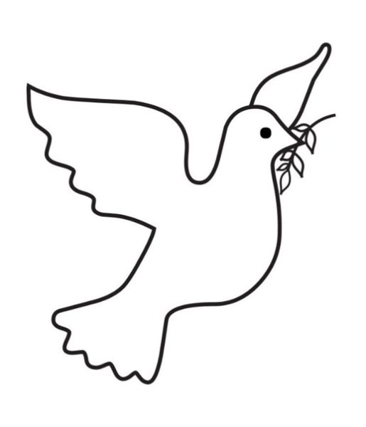 Голубь раскраска для детей