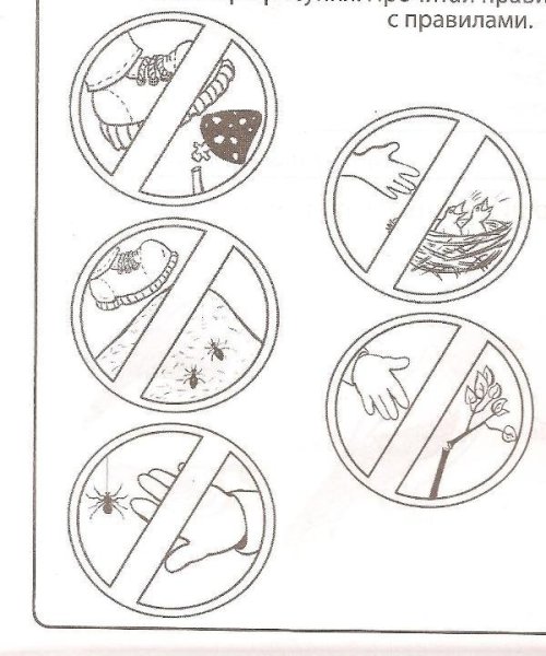 Экологические знаки