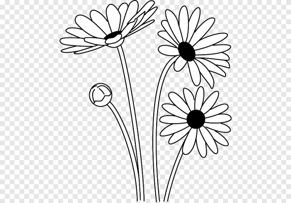 Ромашка раскраска