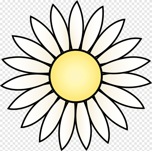 Цветок с семью лепестками