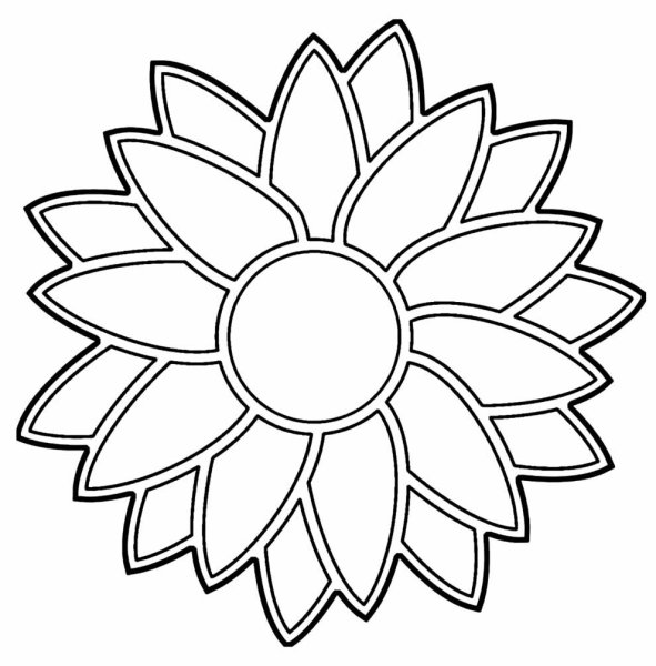 Ромашка для срисовки карандашом