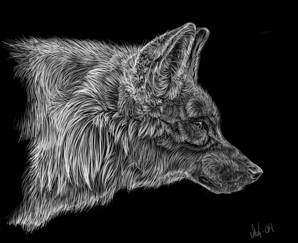 Графический рисунок волка