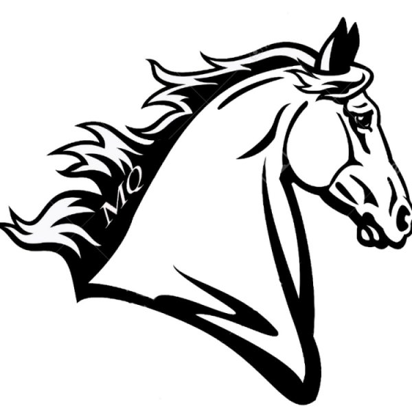 Конь морда вектор