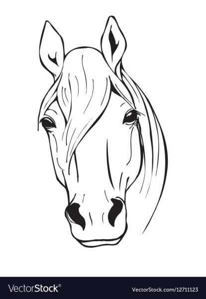 Голова коня анфас